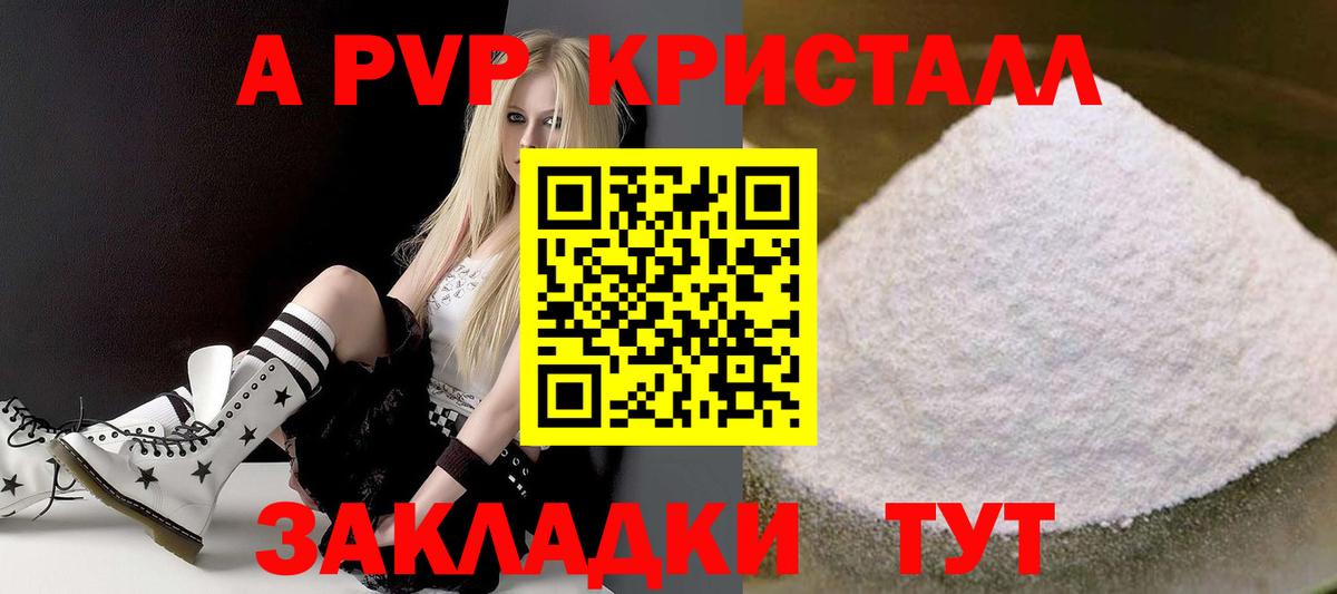 APVP СК КРИС Аргун