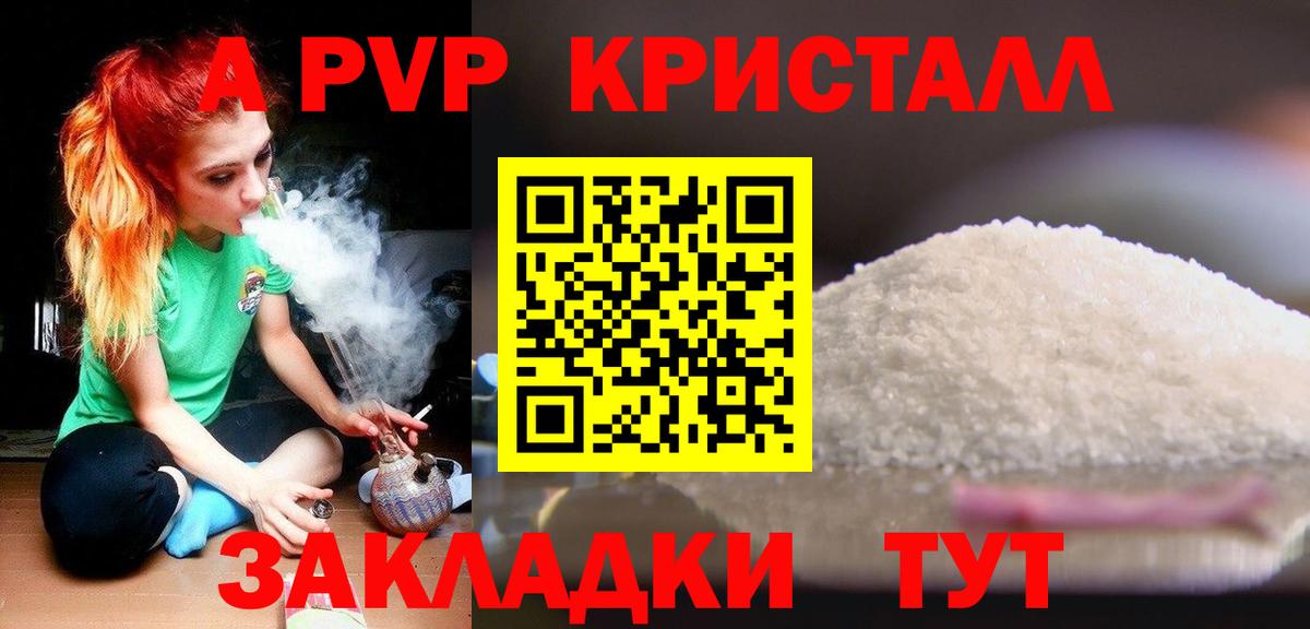 A PVP СК КРИС Аргун