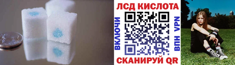 mega ссылка  Аргун  Лсд 25 экстази кислота 