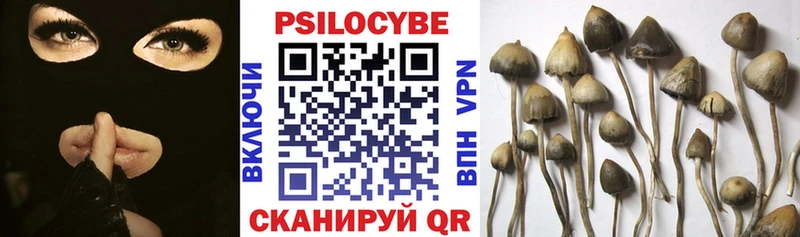 Галлюциногенные грибы Cubensis  omg онион  Аргун  купить наркоту 