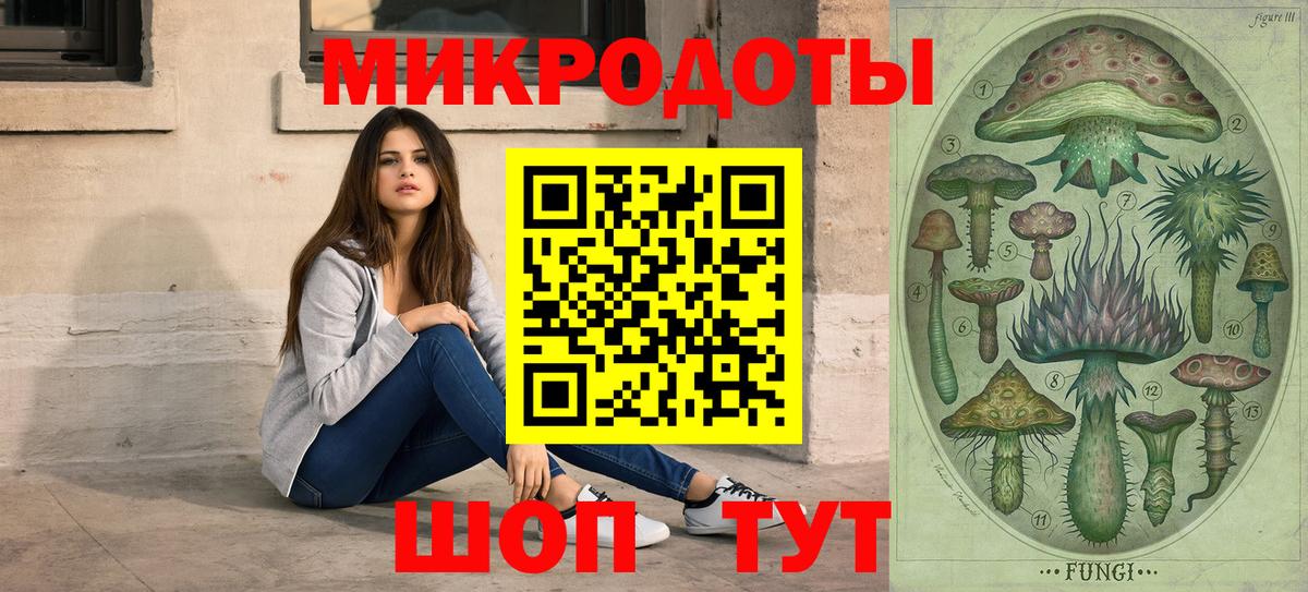 Псилоцибиновые грибы Cubensis  Аргун 