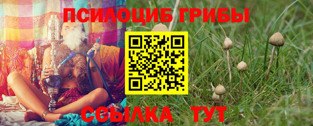 Галлюциногенные грибы мухоморы Аргун