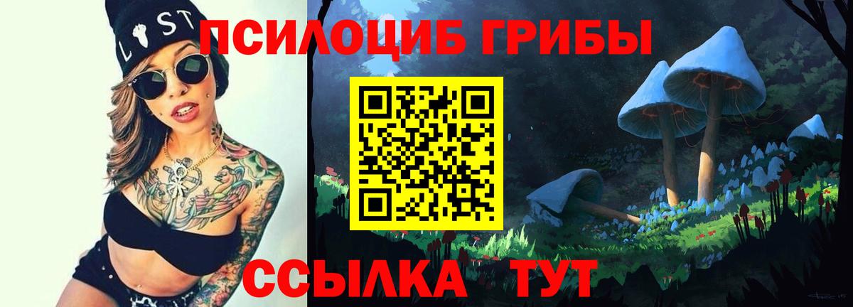 Аргун  Псилоцибиновые грибы ЛСД  Вход с VPN 