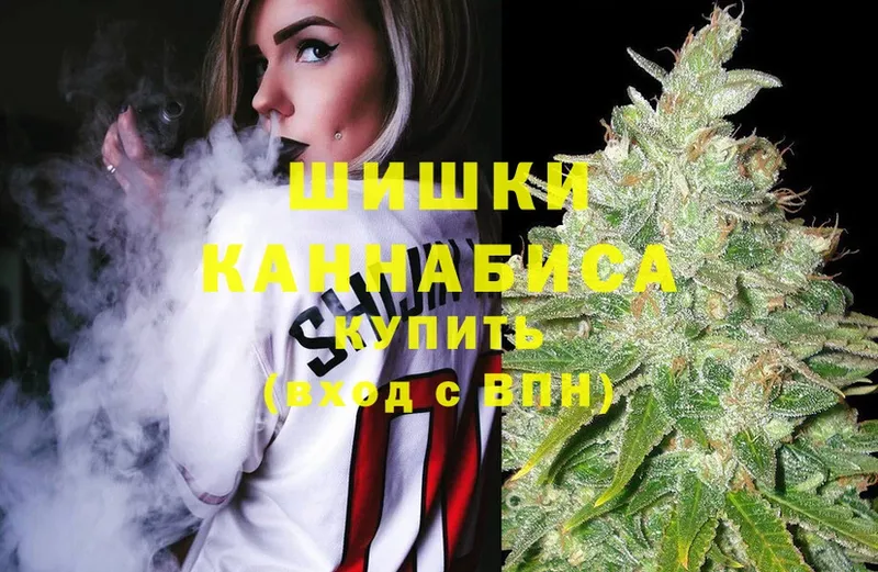 Бошки Шишки Amnesia  где можно купить наркотик  Аргун 